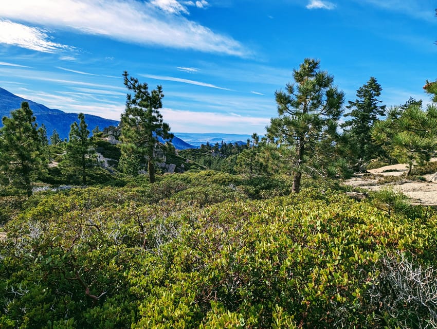Big Bear: Family-Friendly Nature Walk w Hot Chocolate - Valuing the Cost: Is it Worth  Per Person?