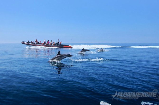 Cheapest Family Friendly Boat Trip From Vilamoura Algarve - Final Thoughts: Is It Worth It?
