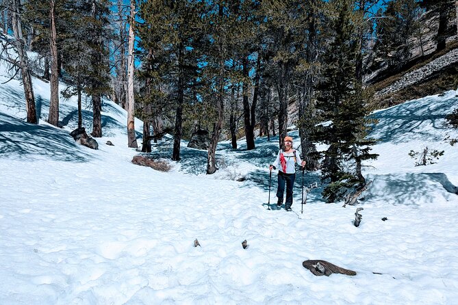 Family-Friendly Nature Hike around the Big Bear Valley - Final Thoughts