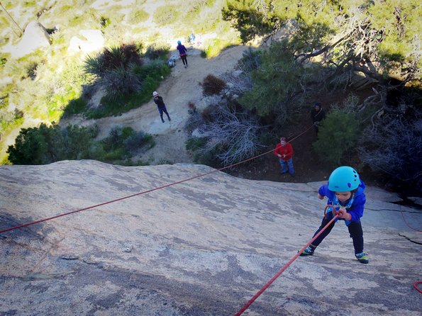 Family Rock Climbing Trips in Joshua Tree National Park (8 Hours) - The Sum Up