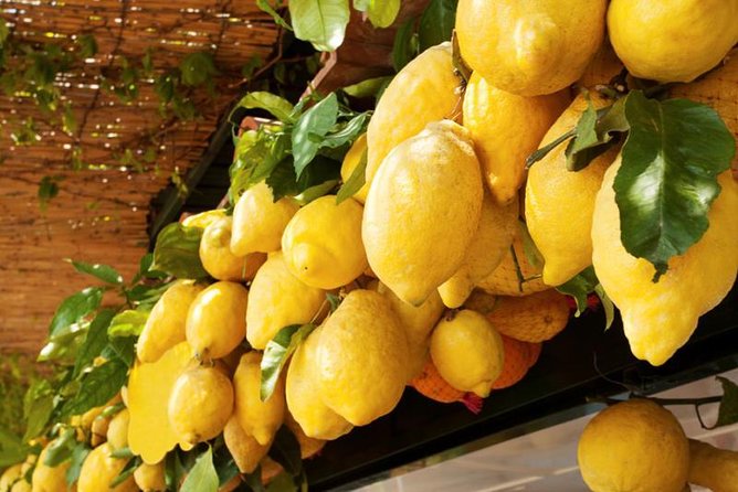 Farm-to-Table Experience: Olive Oil, Garden Tour & Nonnas Lunch - Final Thoughts