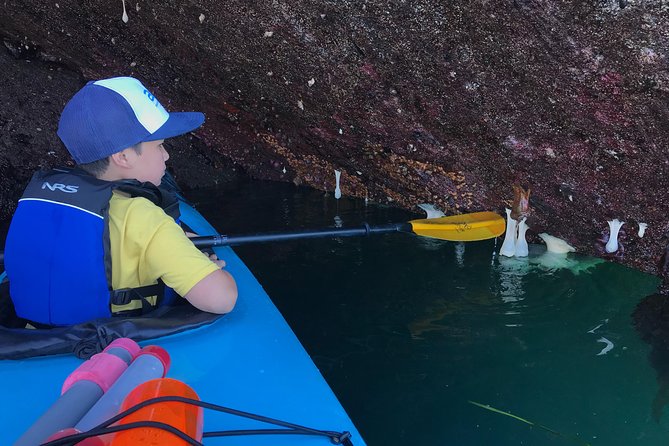 Kayaking in deception pass state park an in depth look at the kayaking tour itinerary