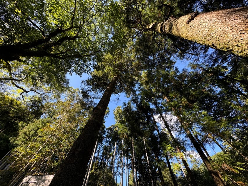 Kyoto: Kifune Shrine and the Sacred Kifune Valley Day Trip - FAQ