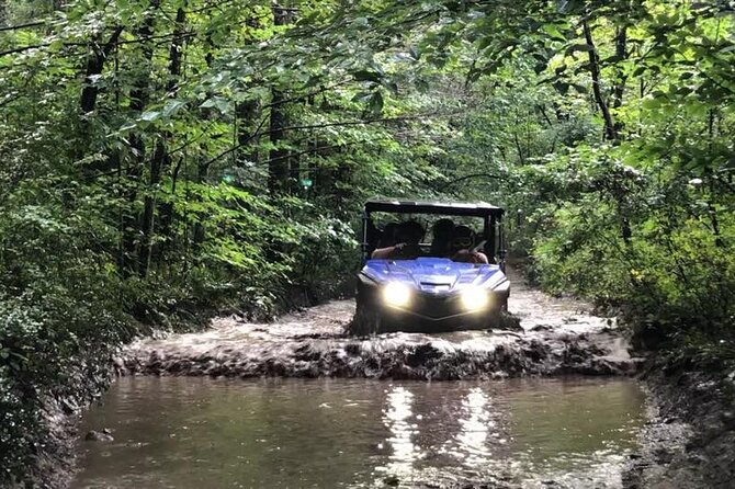New River Gorge Side by Side Family Tour - Who is This Tour Best For?