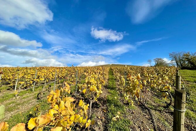 Reims or Epernay: Full day Champagne Mumm, family grower & lunch - The Bottom Line