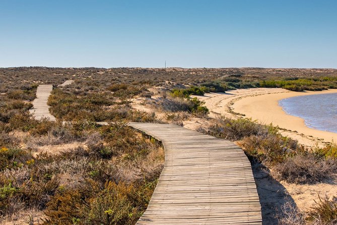 Ria Formosa: Private Boat Rental (from 2 to 8 hours) - Who Will Love This Tour?