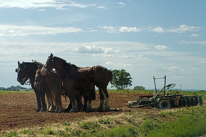 Authentic Tour & Meal with the Amish! - FAQ