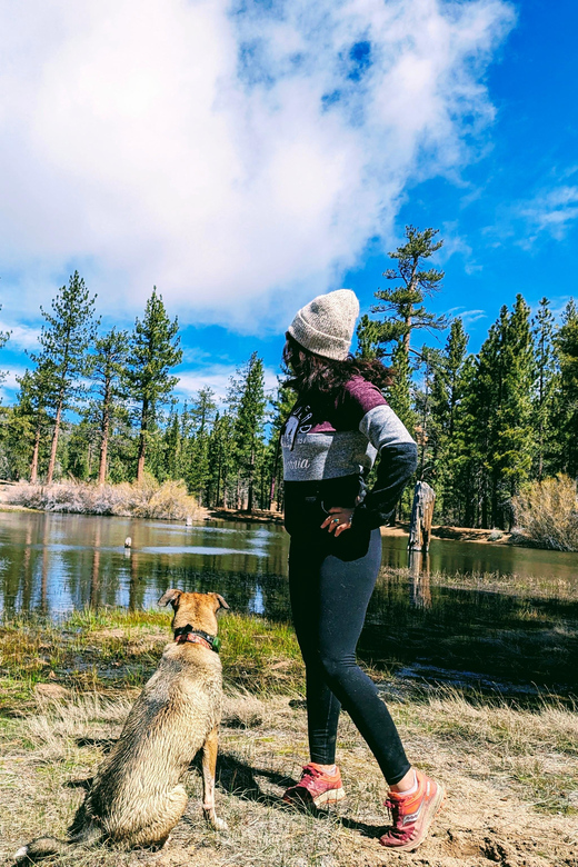 Big Bear: Family-Friendly Nature Walk w Hot Chocolate - Final Verdict: Is It Worth Your Time and Money?