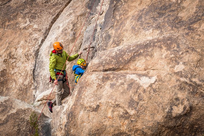 Family Rock Climbing Trips in Joshua Tree National Park (8 Hours) - Practical Details to Keep in Mind