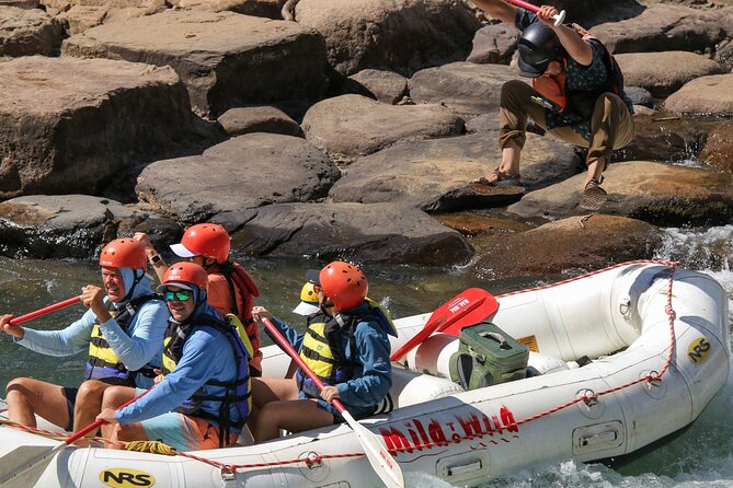Durango 1/4 Day Rafting Trip - Lower Animas River - Highlights