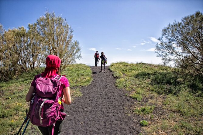 Etna Family Tour Excursion for families with children on Etna - Highlights: