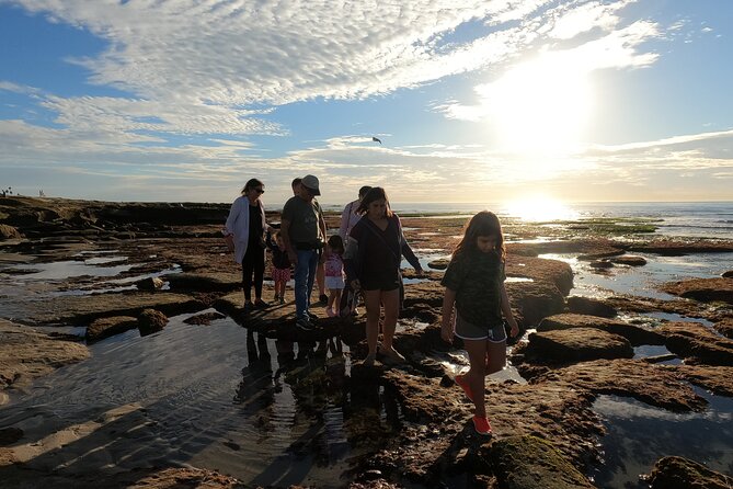 Explore San Diego Tide Pools with a Marine Biologist - Highlights of the San Diego Tide Pool Tour