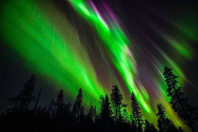 Family-Friendly: Northern Lights Adventure from Rovaniemi - An In-Depth Look at the Experience
