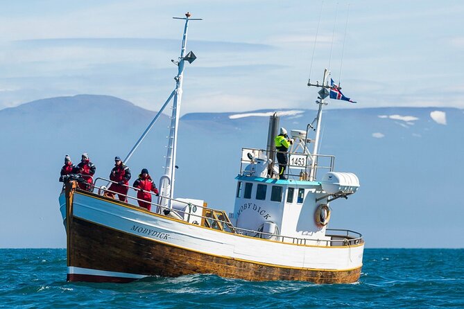 Húsavík whale watching tour, family owned and operated faq