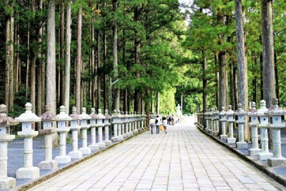 Koyasan: Mt. Koya Guided Private Walking Day Tour - Highlights of the Koyasan Private Guiding Day Tour