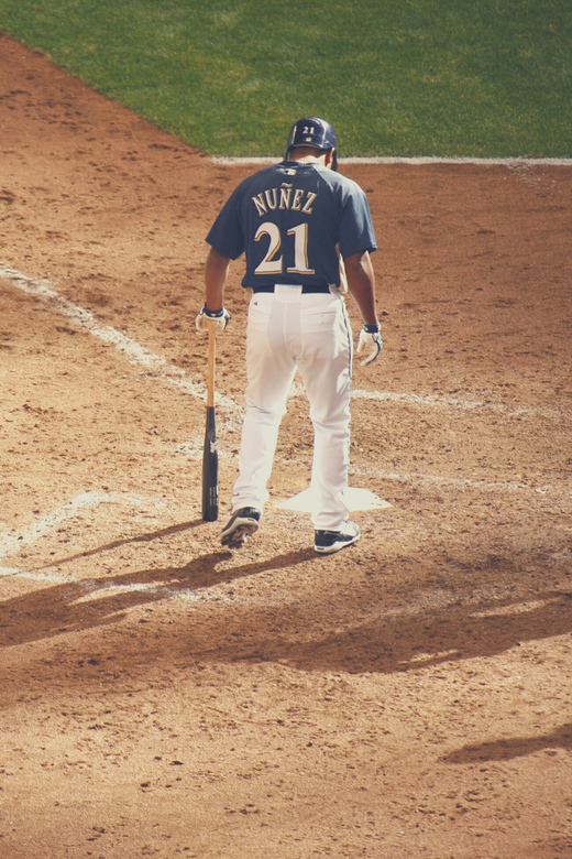 Milwaukee Brewers Baseball Game at American Family Field - The Value and Pricing