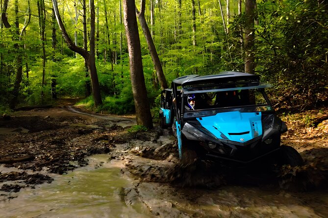 New River Gorge Side by Side Family Tour - Highlights of the New River Gorge UTV Experience