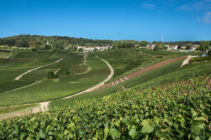 Private tour: Full Day Veuve Clicquot to Reims or Epernay region - Highlights