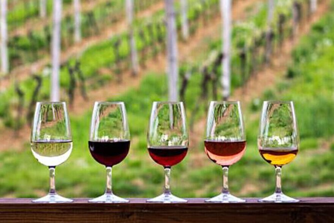 Private Tour in the Douro with Family Vineyards and Miradouro - Highlights of the Douro Private Tour