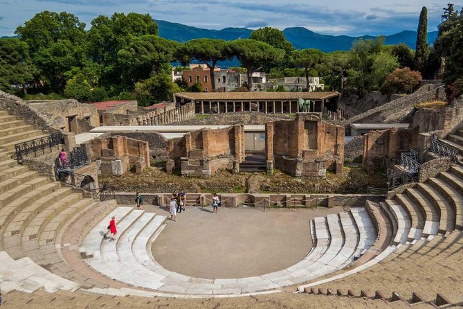 Private tour: pompeii tour with family tour option who is this tour best for?