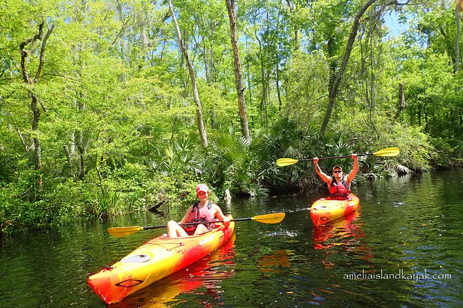 Self Guided Family Friendly Kayak Rental Experience Old Florida - Highlights of the Kayak Experience