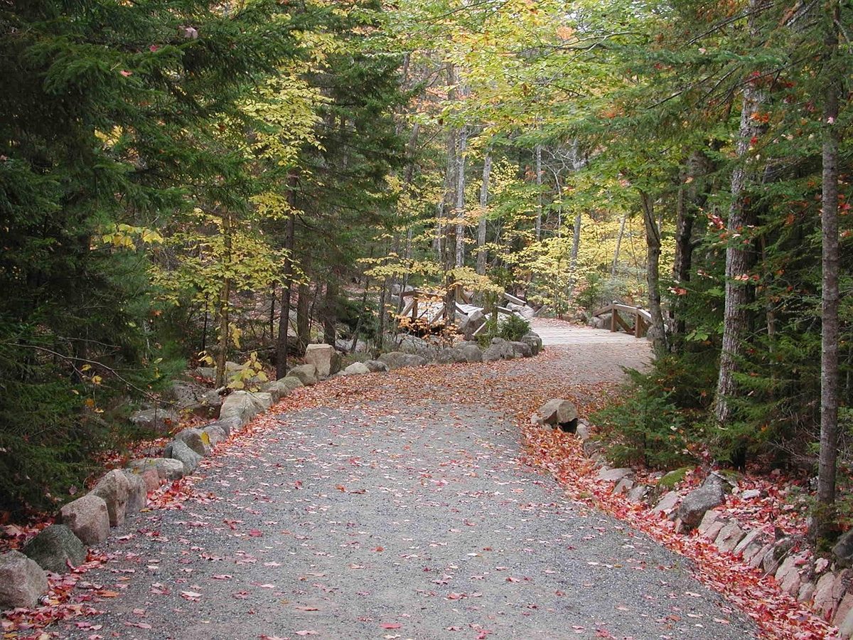 Acadia National Park rocky coastline with ocean waves and autumn trees