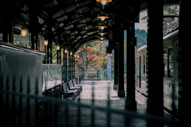 Japanese train station surrounded by beautiful autumn foliage