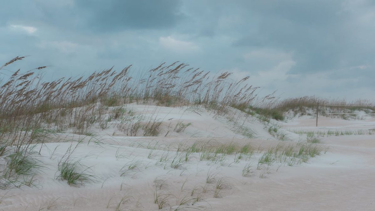 Sand dunes with sea grass at St Augustine Beach on the Atlantic Coast of Florida
