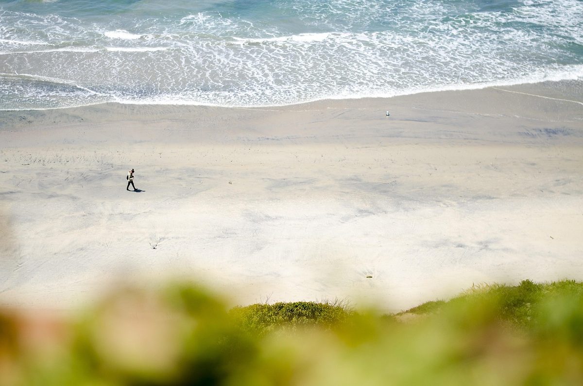 San Diego coastline with golden sand and blue Pacific Ocean stretching to the horizon