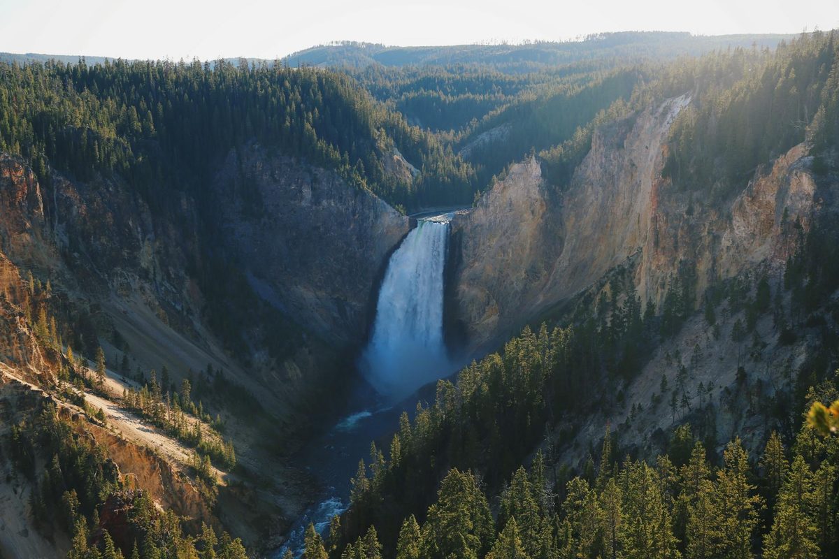 Lower Yellowstone Falls crashing through a dramatic rocky canyon in Yellowstone National Park
