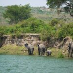 Family hiking trail through a national park with mountain views in the background