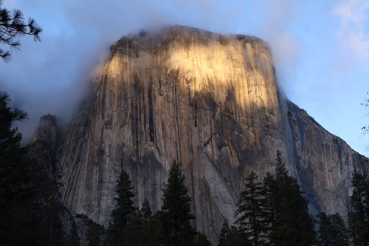 El Capitan granite cliff face rising above the trees in Yosemite Valley