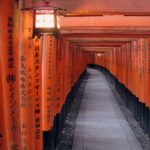 Torii gates at Fushimi Inari Shrine Kyoto