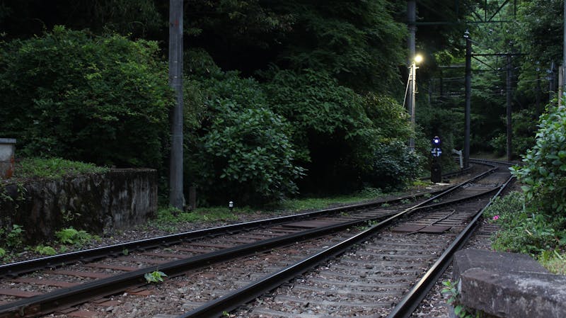 Railway track through dense greenery on the Hakone Tozan Railway