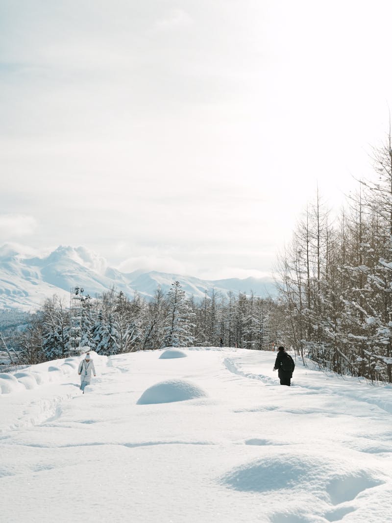 People walking through winter landscape in Hokkaido