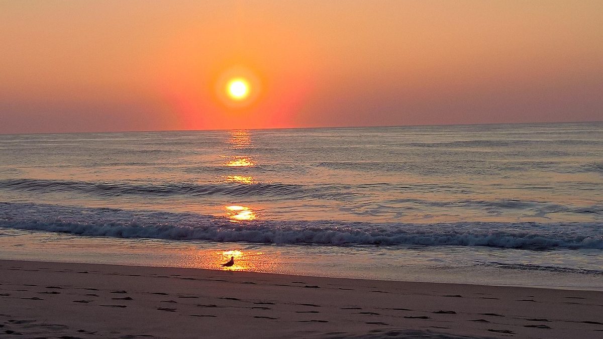 Ocean City Maryland coastline with high-rise hotels along the beach
