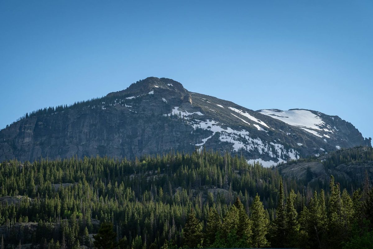 Rocky Mountain National Park alpine meadow with elk and mountain peaks in background