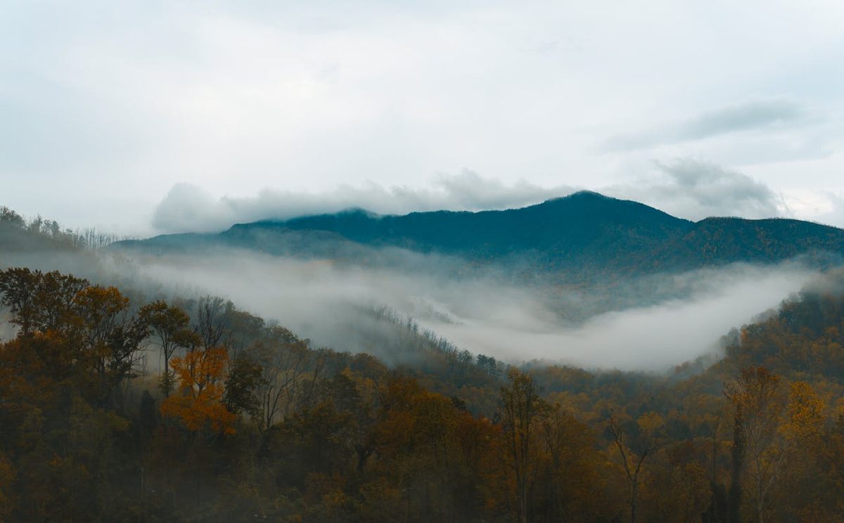 Morning mist rolling over the Great Smoky Mountains with autumn foliage