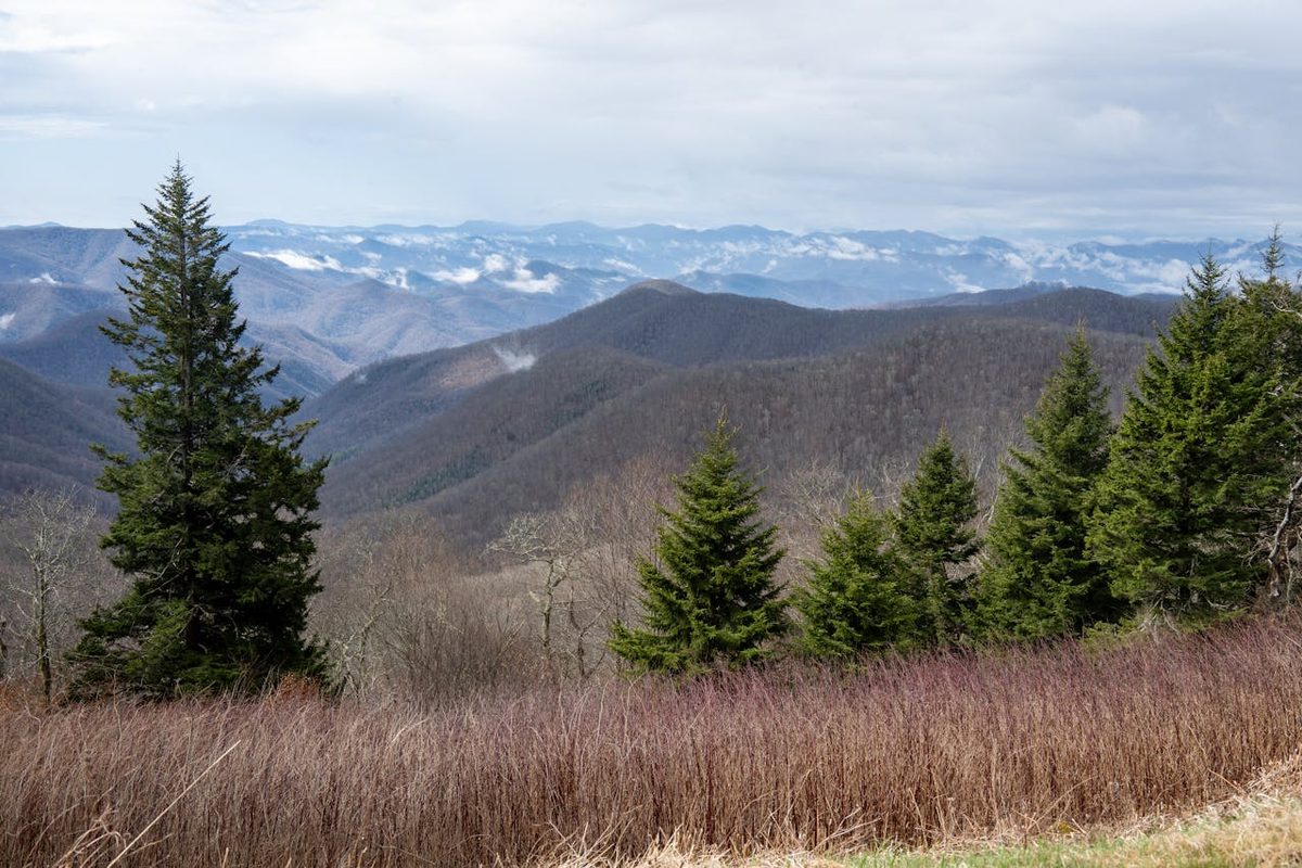 Lush green forested mountains stretching into the distance