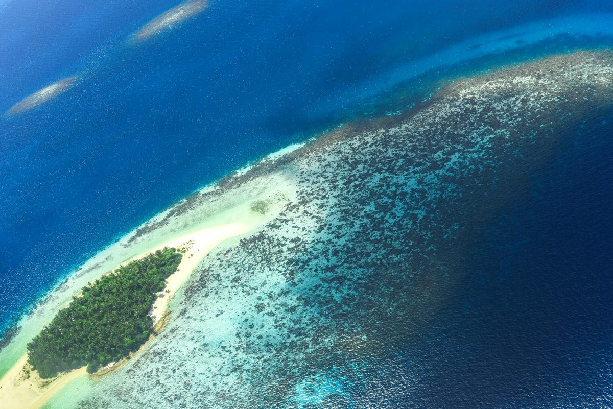 Tropical beach with palm trees and crystal blue water