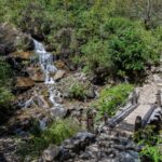 Forest waterfall with wooden bridge