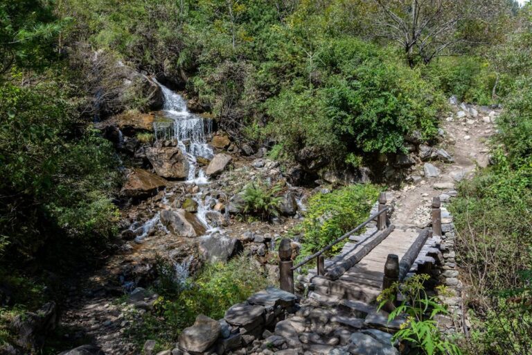 Forest waterfall with wooden bridge