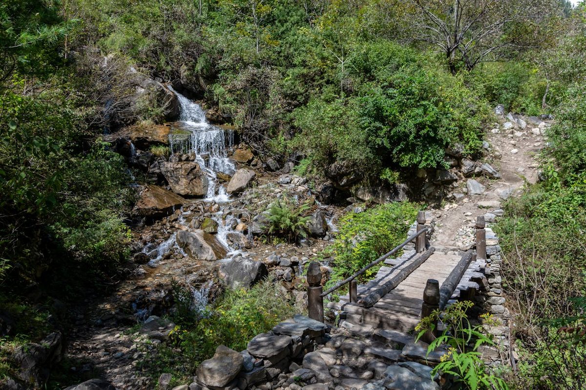 Forest waterfall with wooden bridge