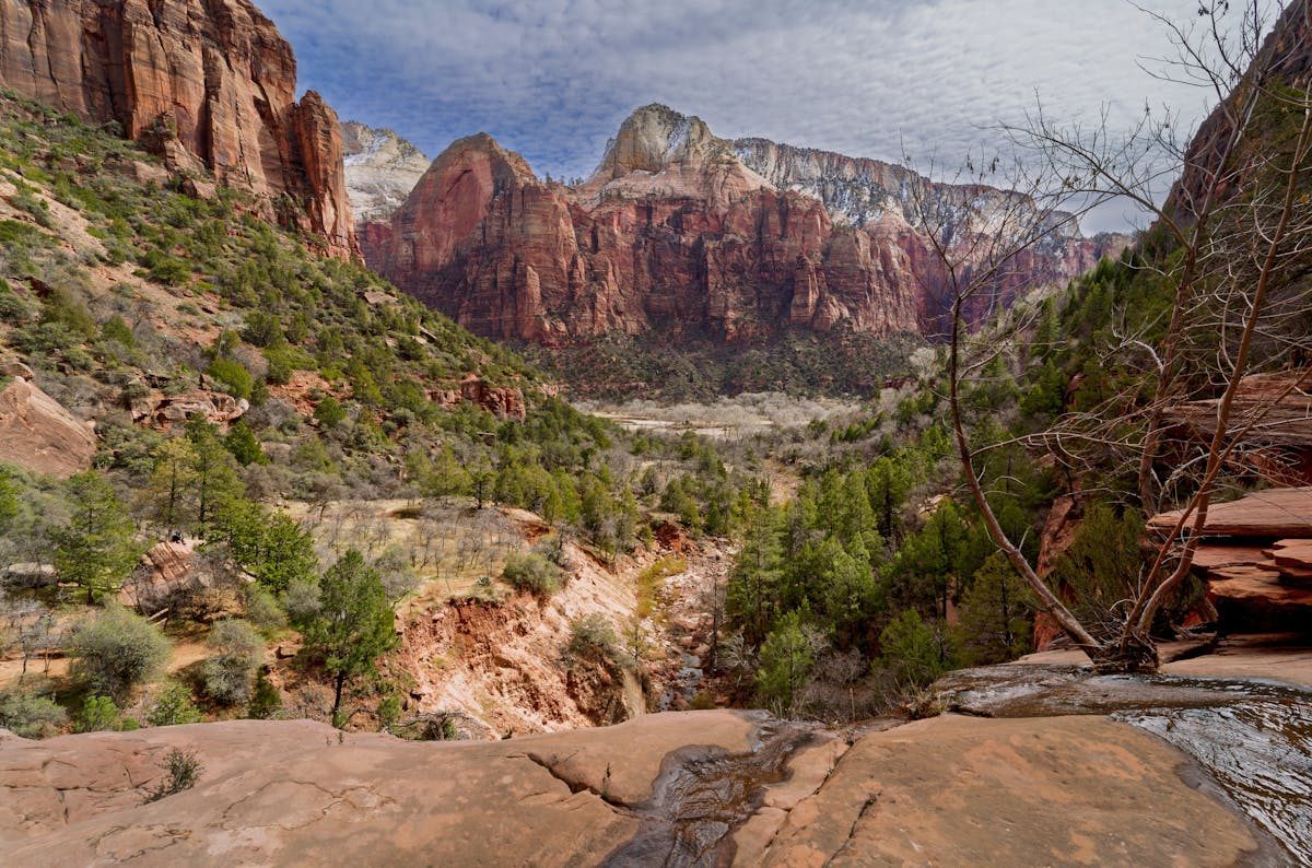 Lush greenery and canyon walls along the Emerald Pools trail in Zion