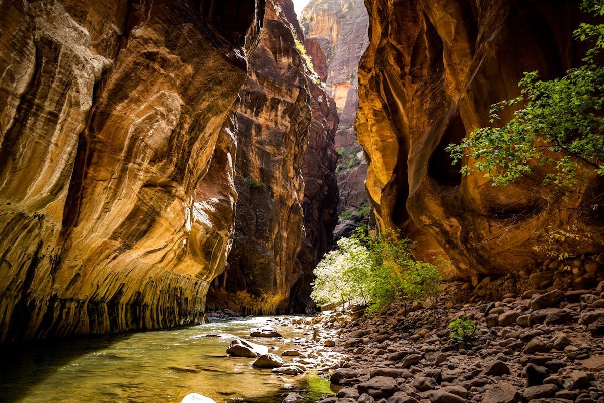 The Virgin River flowing through narrow canyon walls at Zion National Park