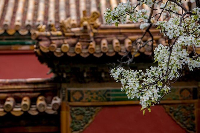 3-Day Private Beijing Tour with Forbidden City, Great Wall, Hutong and Lunch - Price and value at $518: what you’re really getting