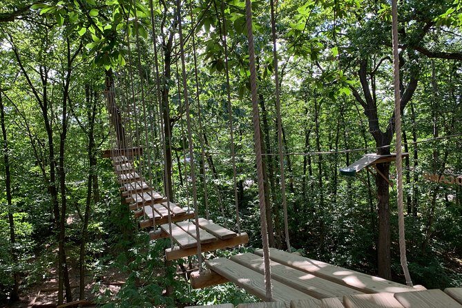 Accrobranches course in the middle of the forest in Saint-Germain-en-Laye - What Makes Accrobranches Special in Saint-Germain-en-Laye