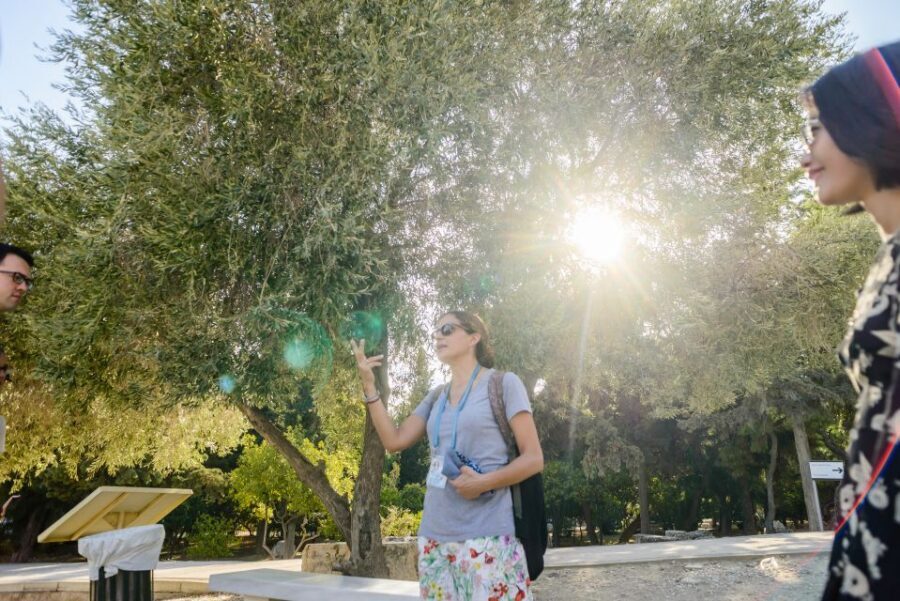 Acropolis: Acropolis and Parthenon Guided Walking Tour - Key Points You’ll Care About