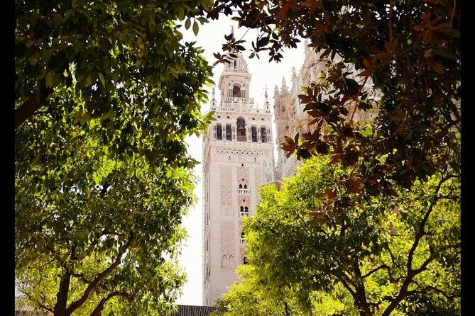 Alcazar and Cathedral of Seville Private Tour - Seville Cathedral: more than a big church stop
