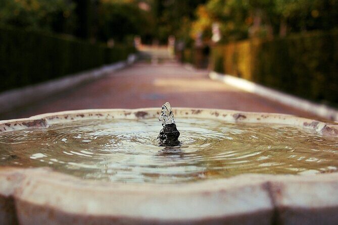Alcazar & Cathedral of Seville Private Guided Tour - Guide quality: what the feedback says you can expect